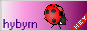 HYBYRM